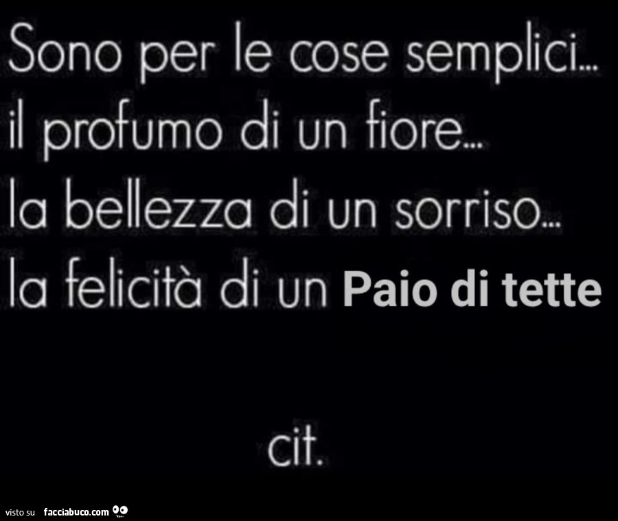 Sono per le cose semplici. Il profumo di un fiore. La bellezza di un sorriso. La felicità di un paio di tette