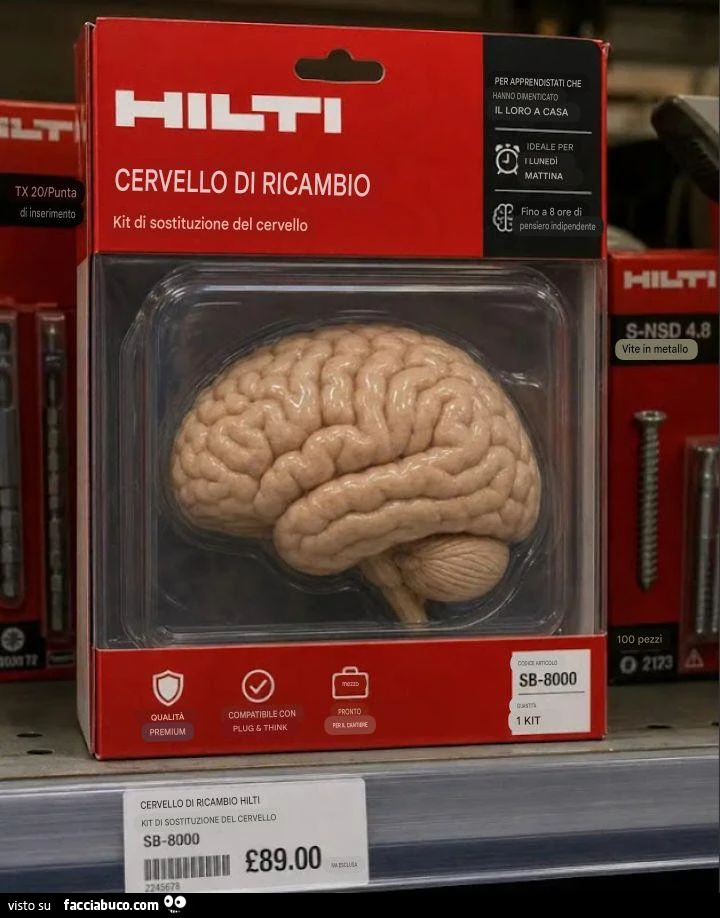 Cervello