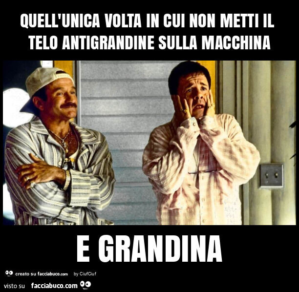 Quell'unica volta in cui non metti il telo antigrandine sulla macchina e grandina