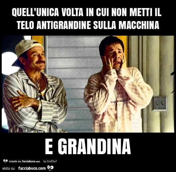 Quell'unica volta in cui non metti il telo antigrandine sulla macchina e grandina