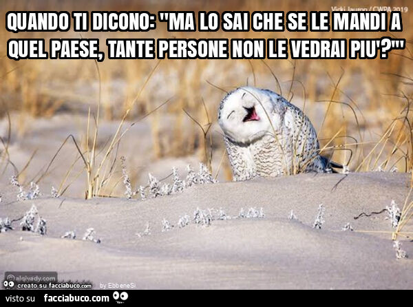 Quando ti dicono: "ma lo sai che se le mandi a quel paese, tante persone non le vedrai più? '"