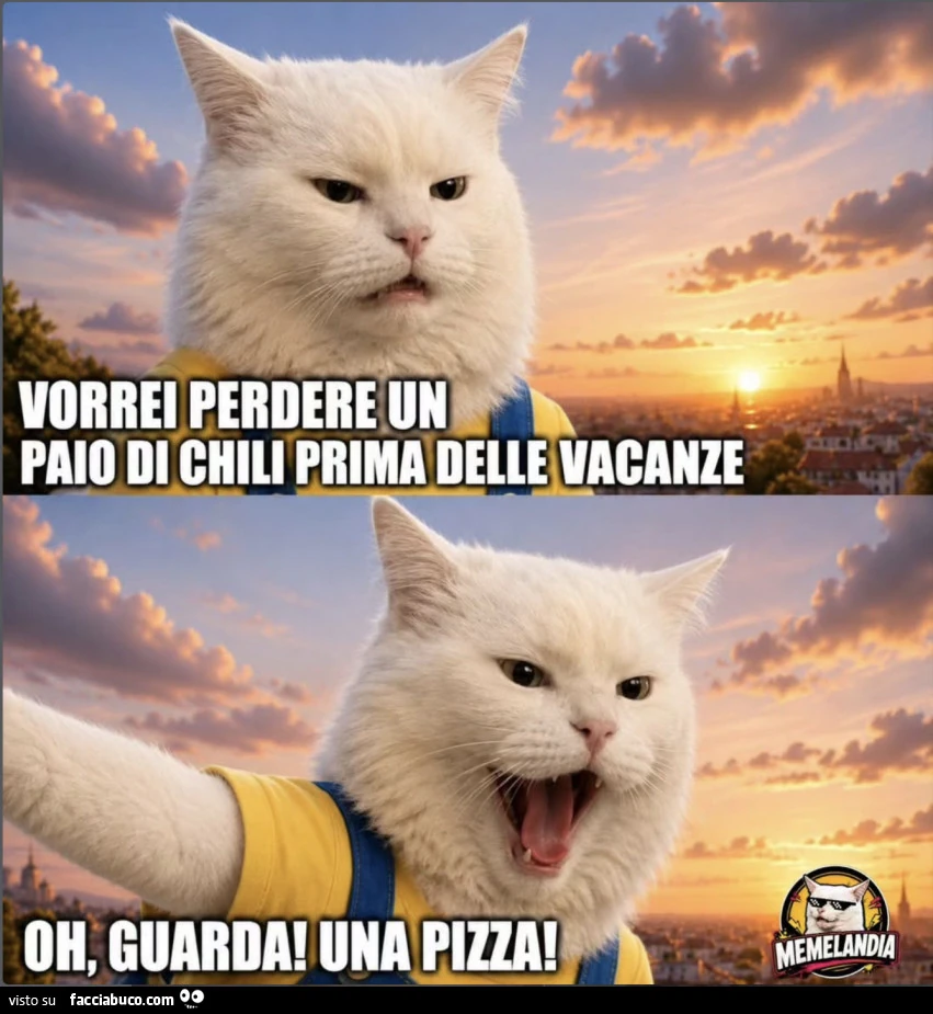 Vaccata