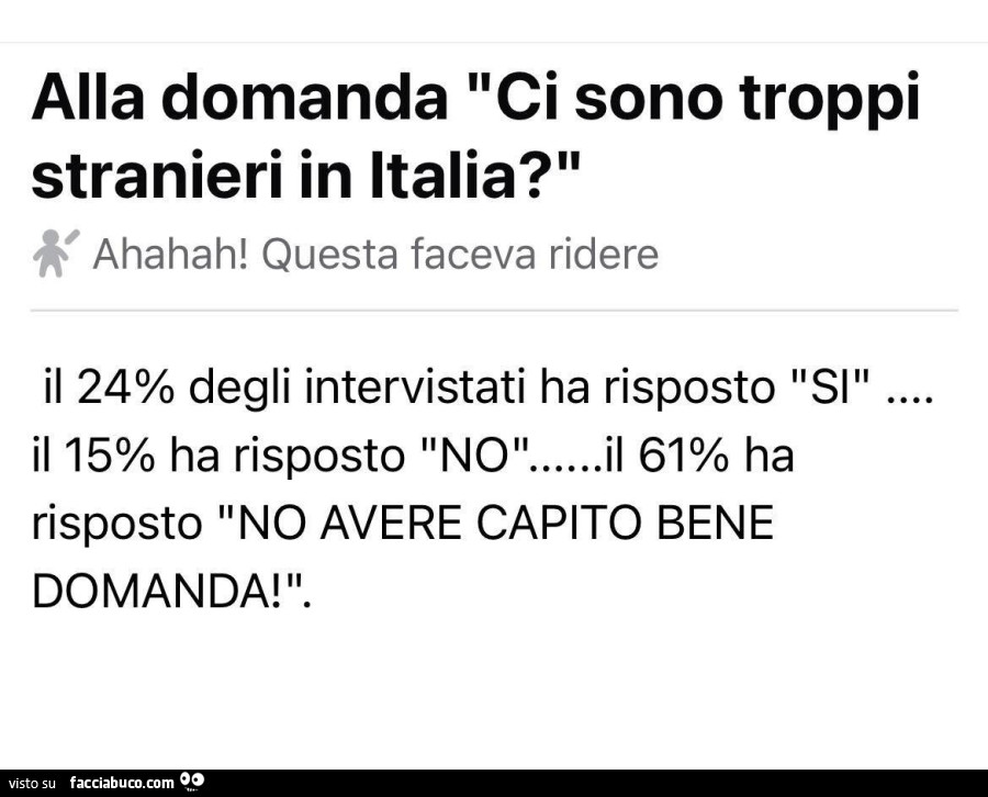 Alla domanda ci sono troppi stranieri in italia?