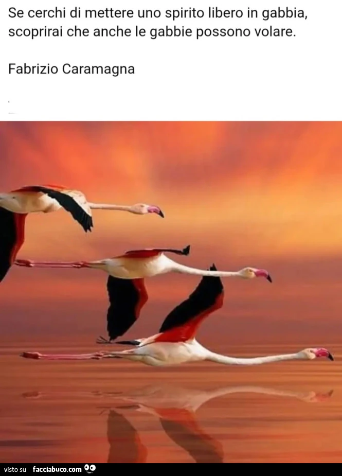 Libertà