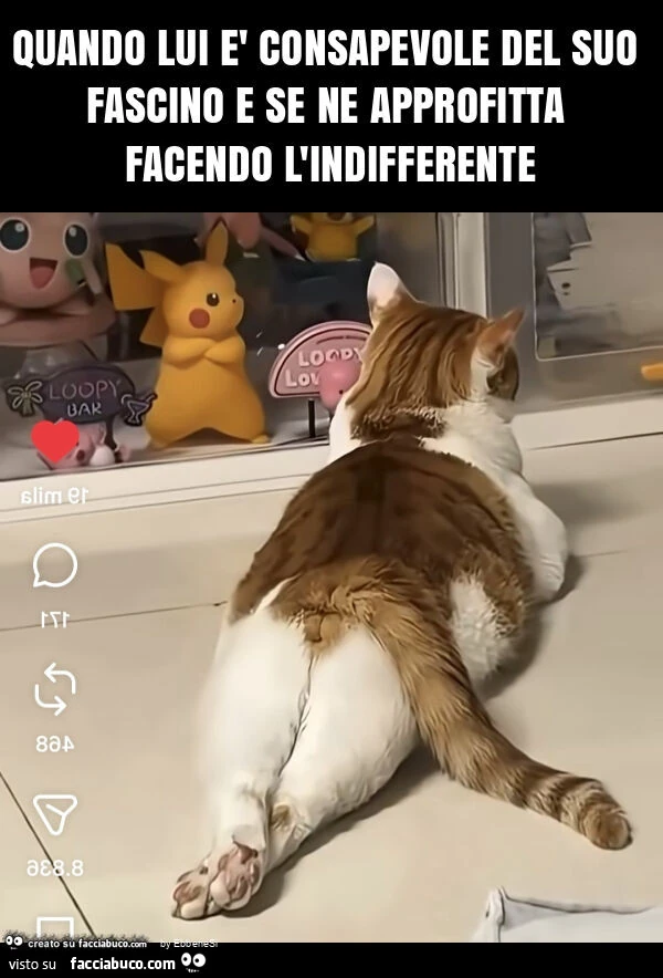 Quando lui è consapevole del suo fascino e se ne approfitta facendo l'indifferente