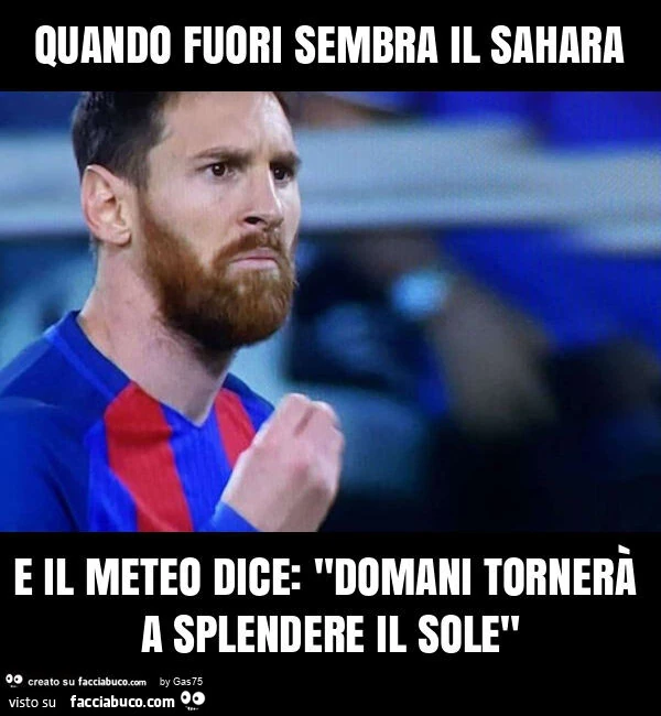 Quando fuori sembra il sahara e il meteo dice: "domani tornerร a splendere il sole"