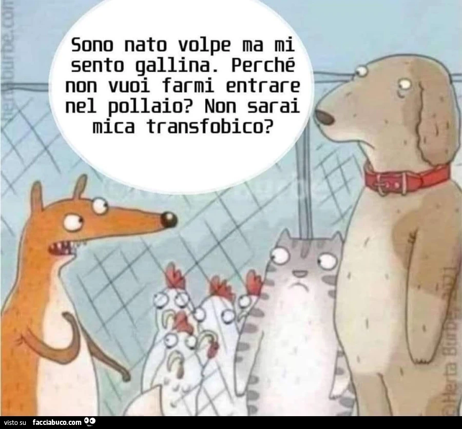 Vaccata