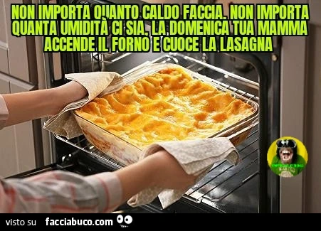 Non importa quanto caldo faccia non importa quanta umiditร ci sia la domenica tua mamma accende il forno e