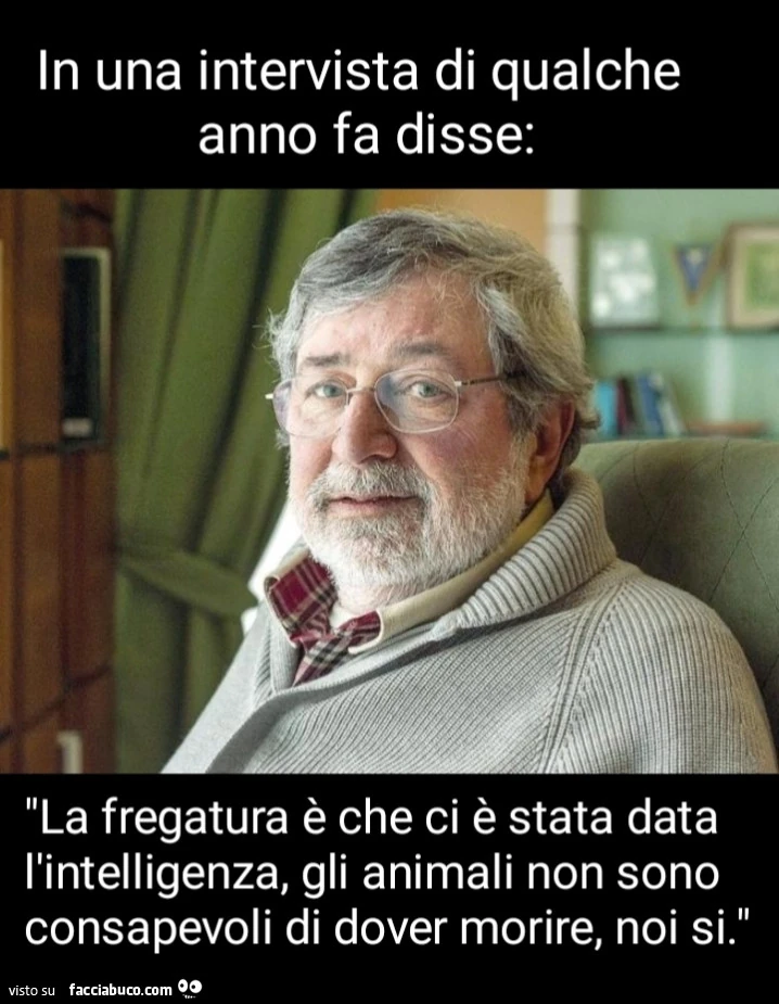 Addio Francesco