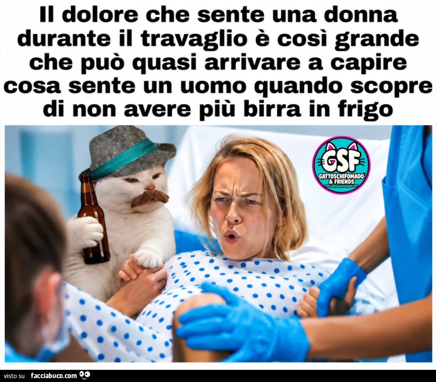 Vaccata