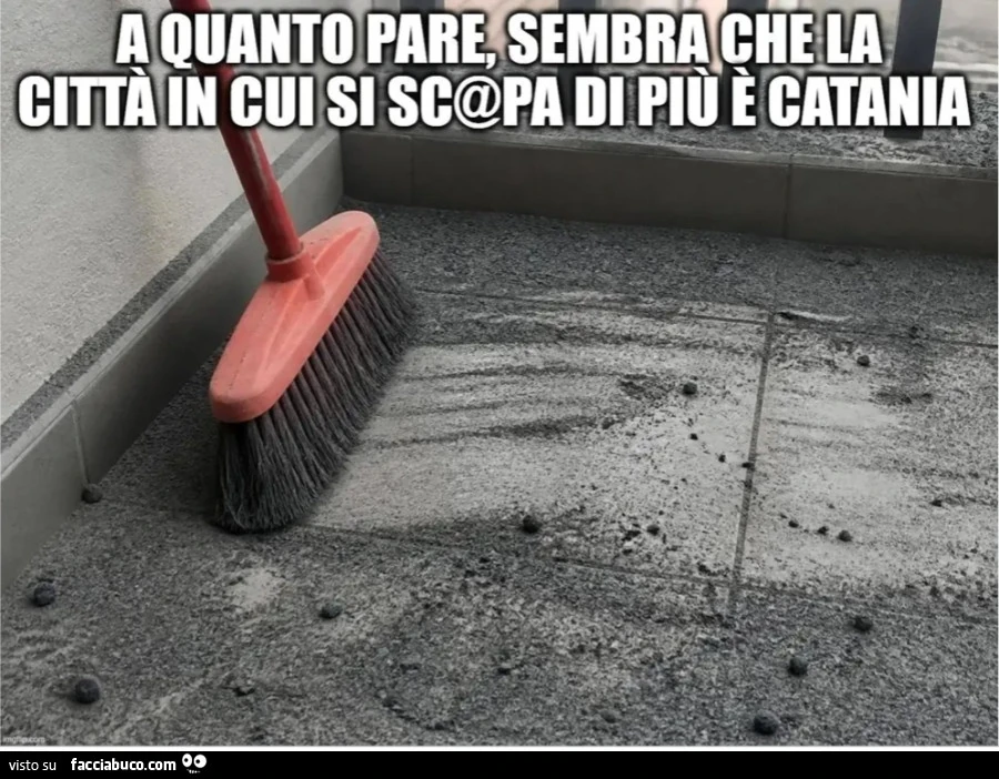 A quanto pare sembra che la città in cui si scopa di più è catania