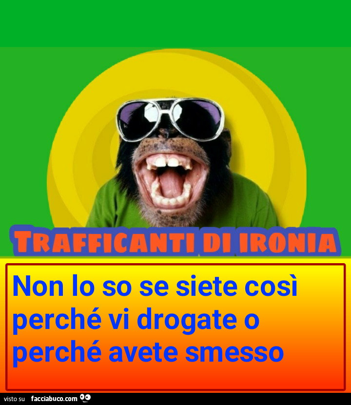Non lo so se siete così perché vi drogate o perché avete smesso