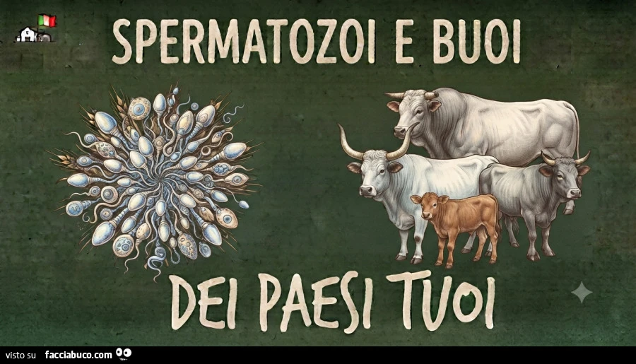 Spermatozoi