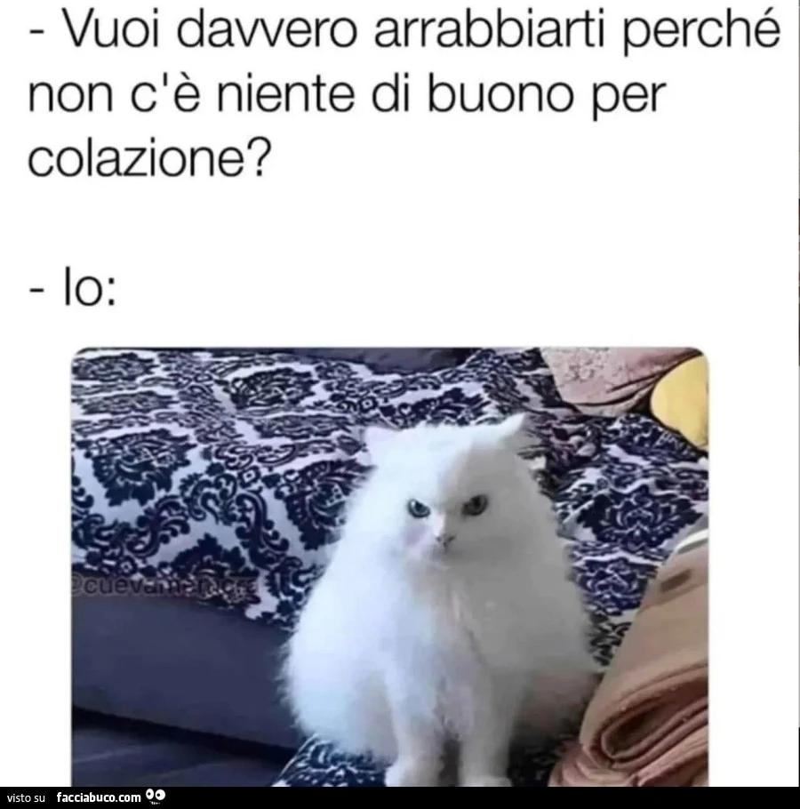 Vaccata