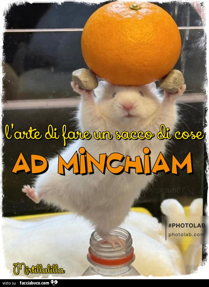 Fare un sacco di cose