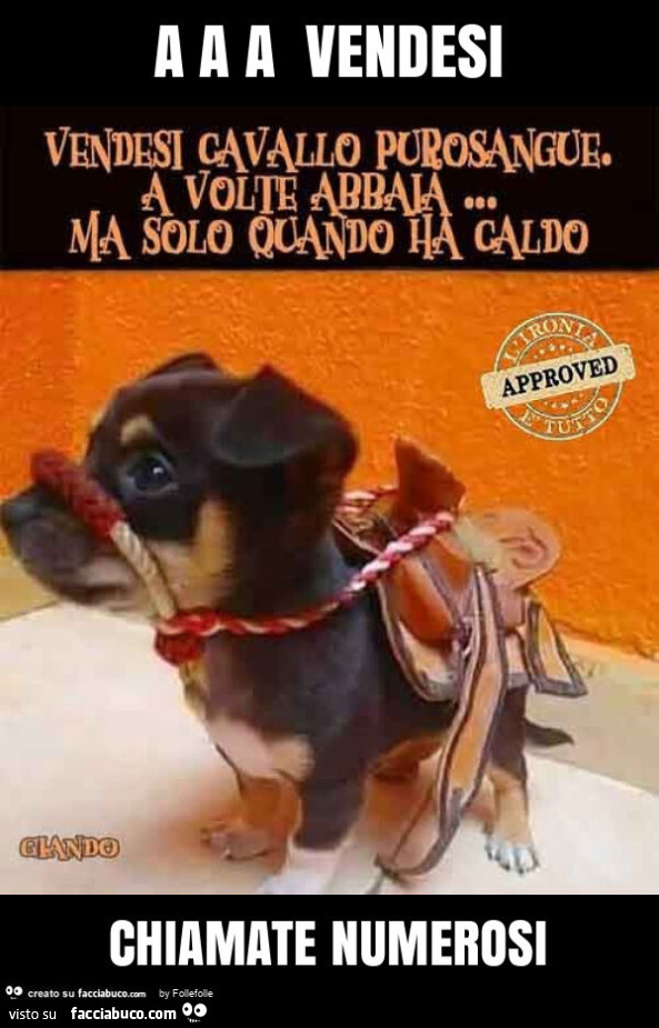 A a a vendesi chiamate numerosi