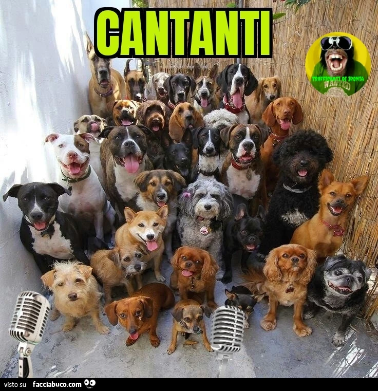 Cantanti