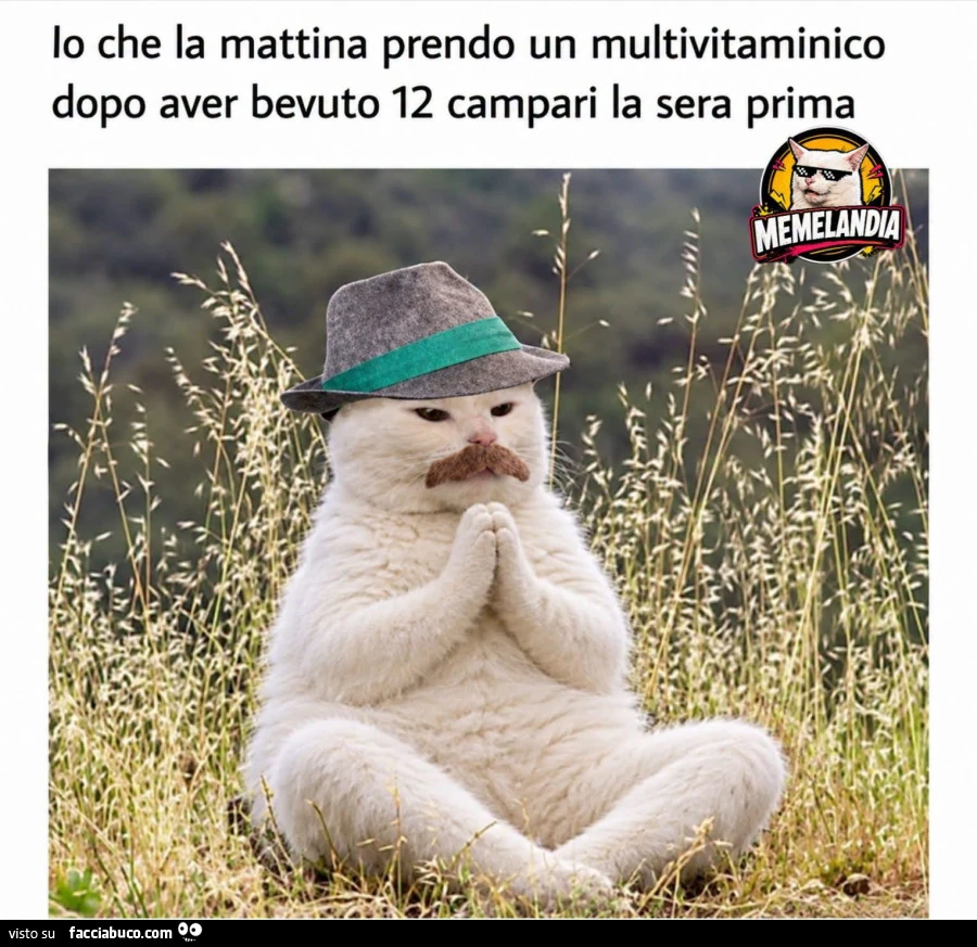 Vaccata