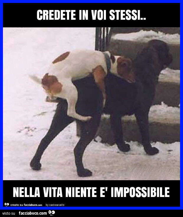 Credete in voi stessi. Nella vita niente è impossibile