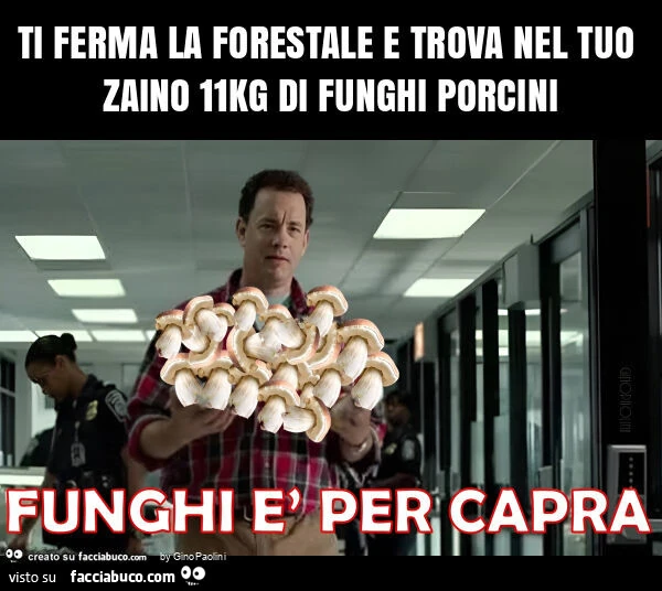 Ti ferma la forestale e trova nel tuo zaino 11kg di funghi porcini