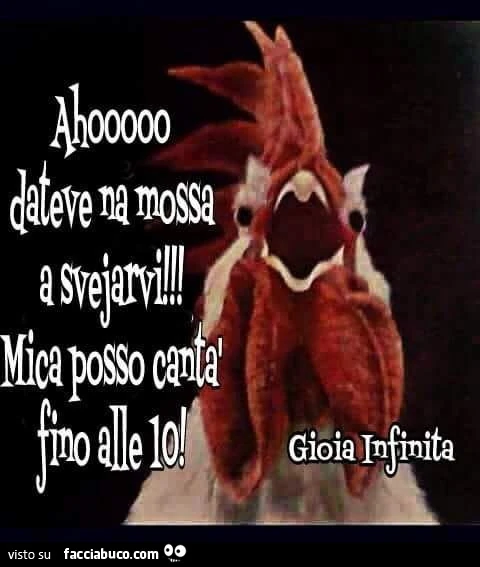 Vaccata