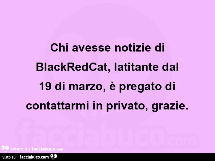 Chi avesse notizie di blackredcat, latitante dal 19 di marzo, è pregato di contattarmi in privato, grazie