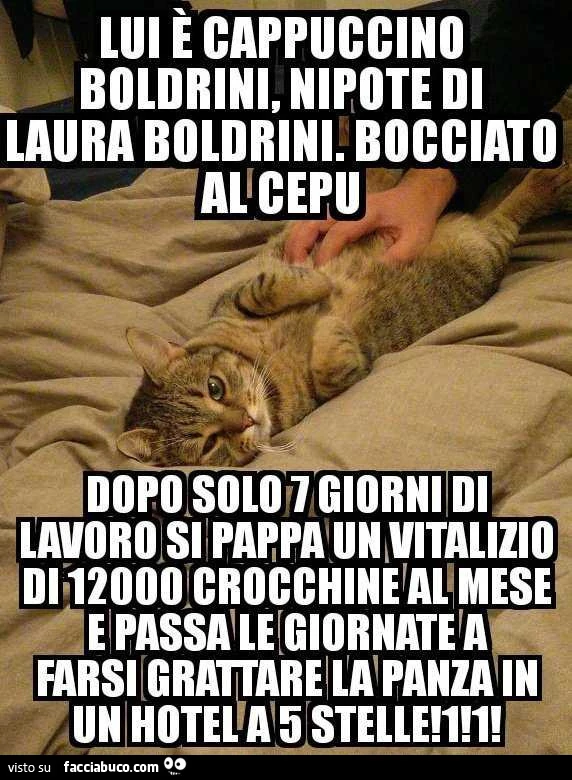 Vaccata
