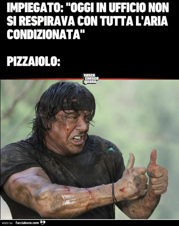 Vaccata