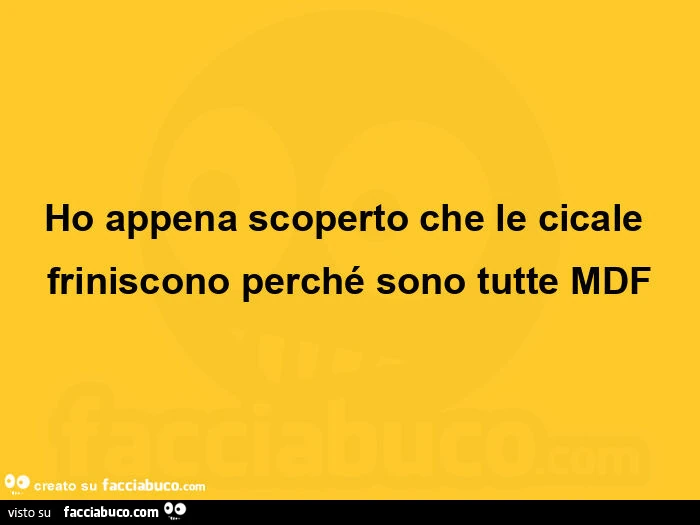 Ho appena scoperto che le cicale friniscono perché sono tutte mdf