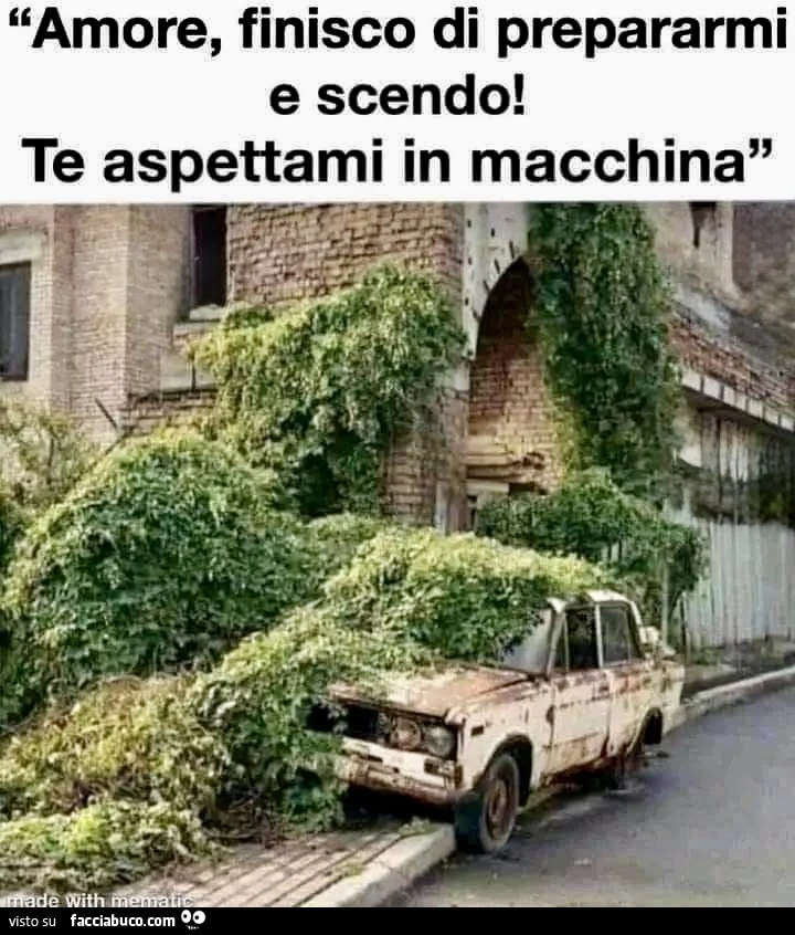 Vaccata