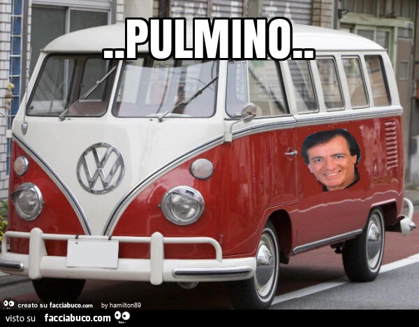 Pulmino