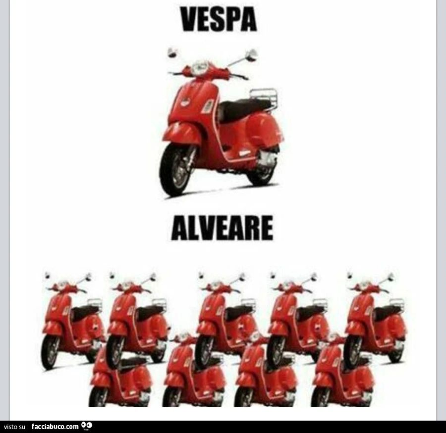 Vespa. Alveare