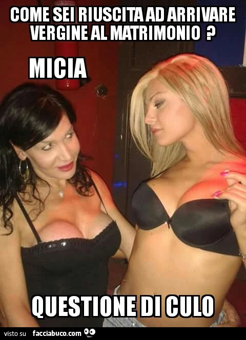 Vaccata