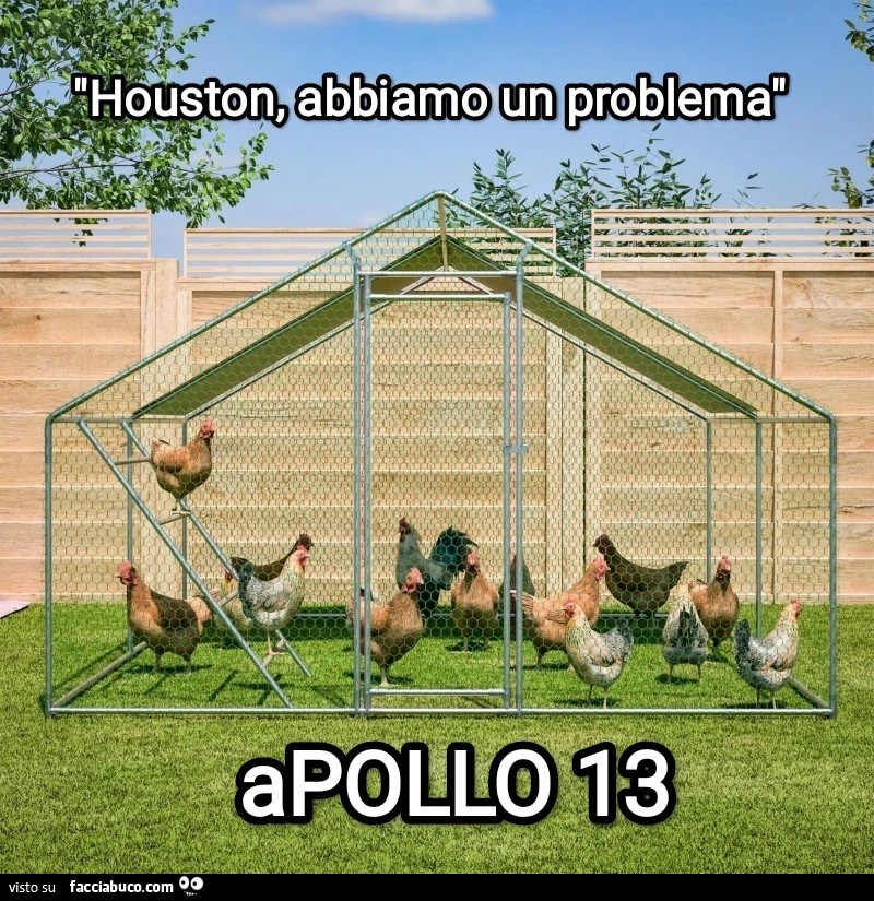 APOLLO 13