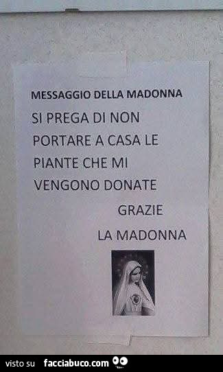 Madonna