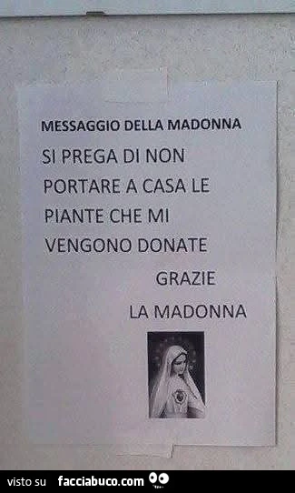 Madonna