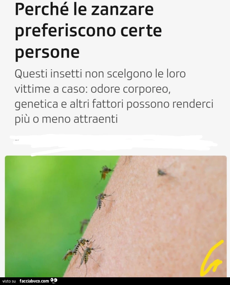 Vaccata