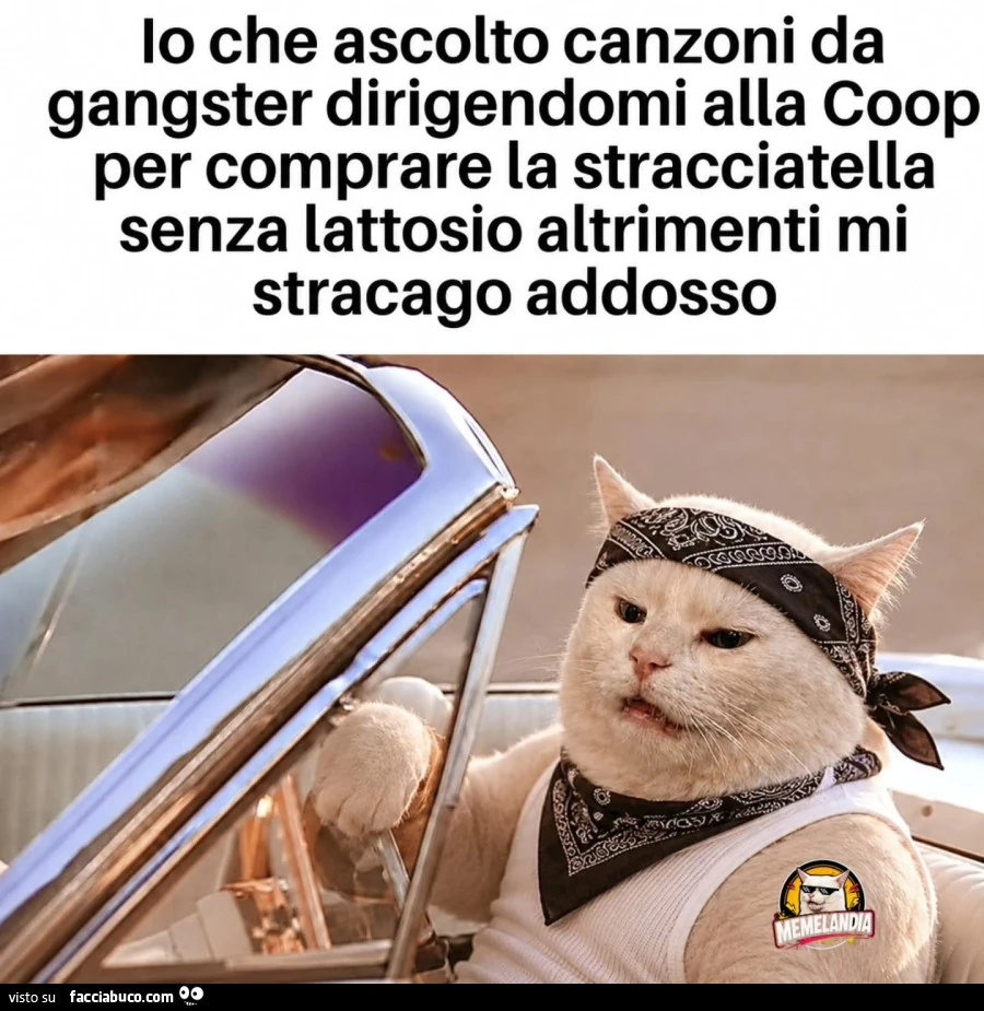 Vaccata