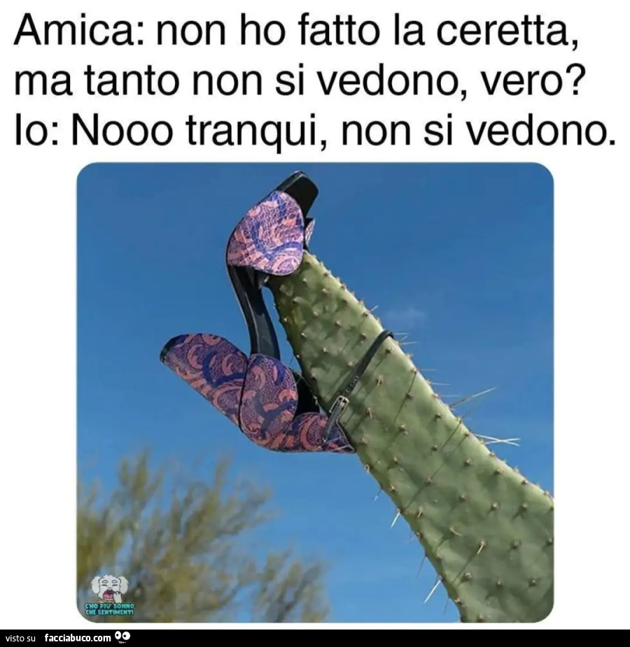 Amica: non ho fatto la ceretta, ma tanto non si vedono, vero? Lo: Nooo tranqui, non si vedono