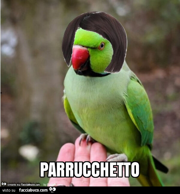 Parrucchetto
