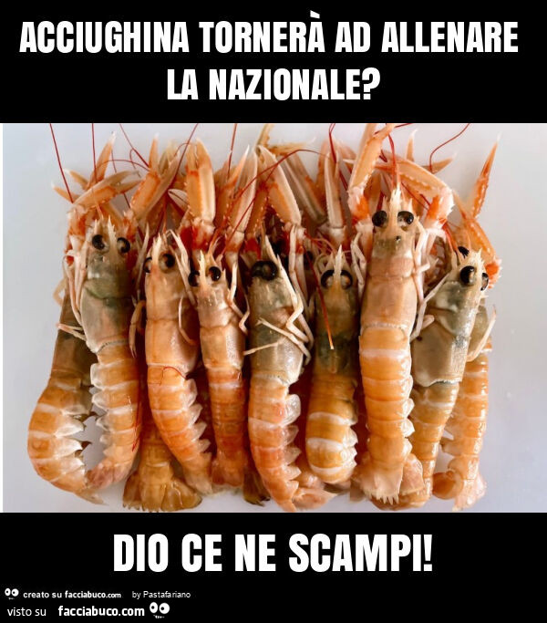 Acciughina tornerà ad allenare la nazionale? Dio ce ne scampi