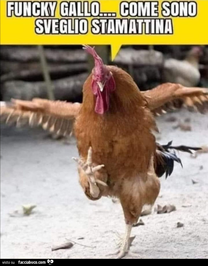 Vaccata