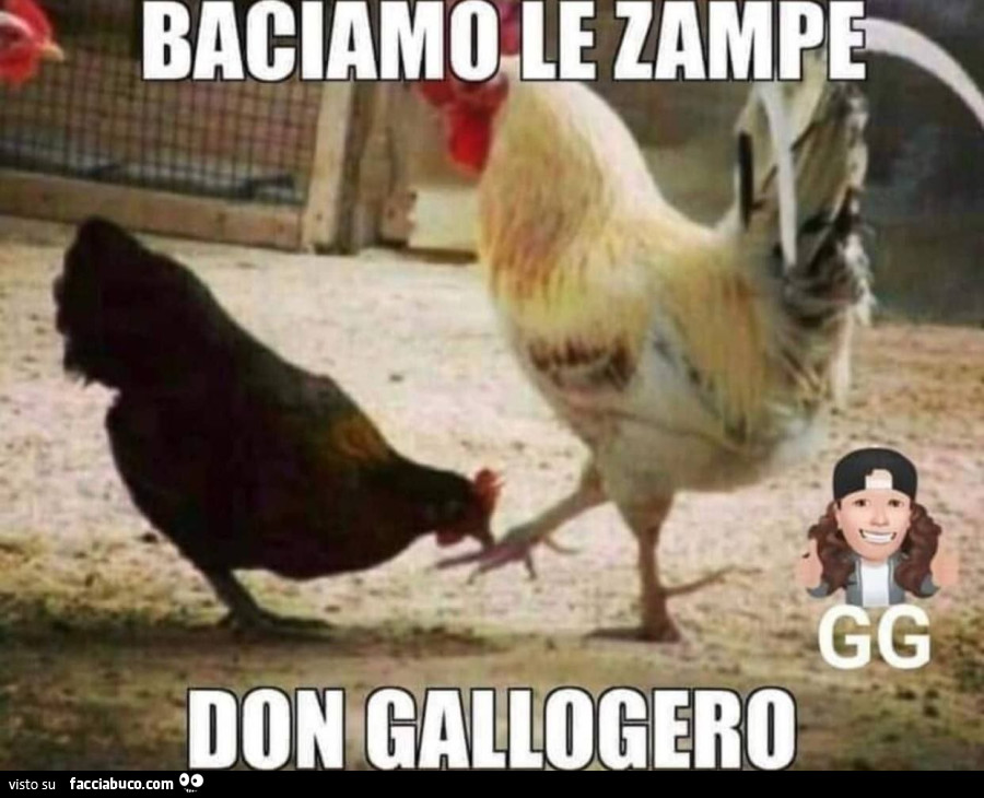 Vaccata