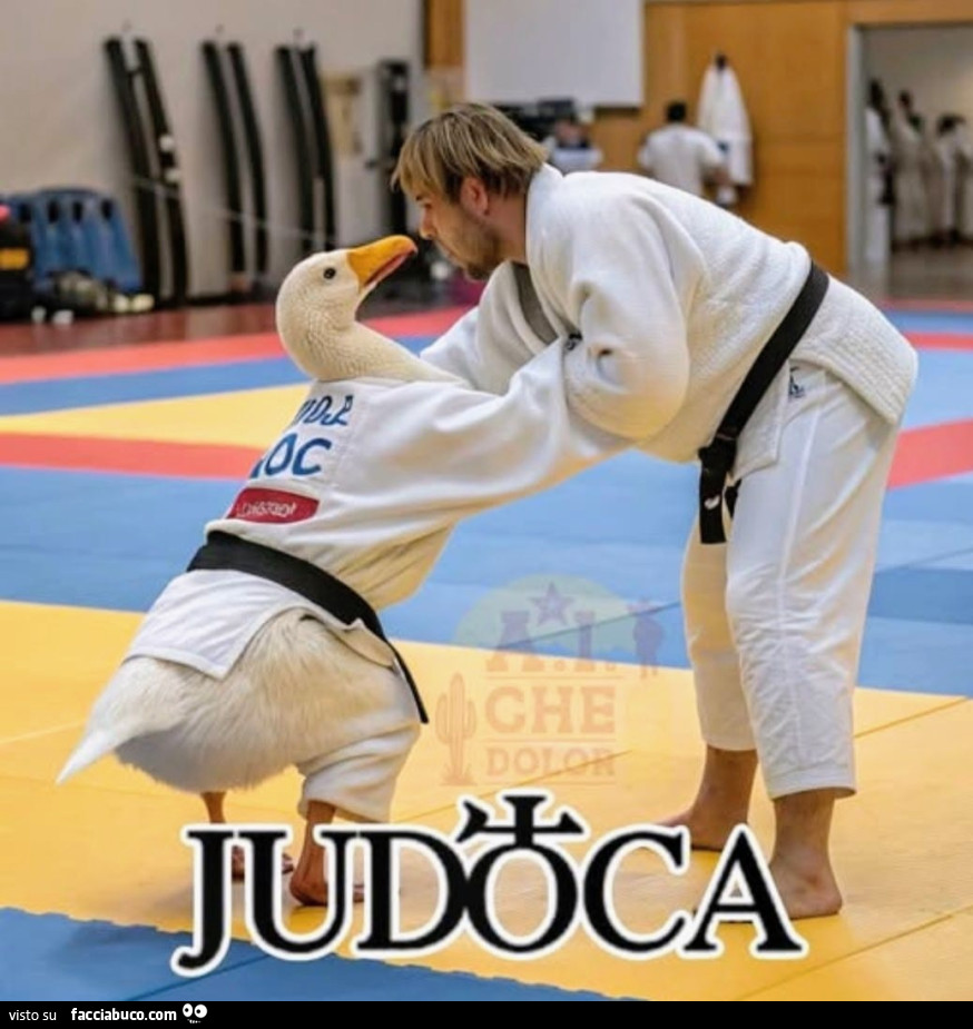 Judo