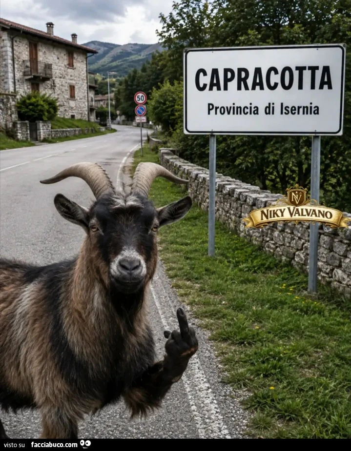 Vaccata