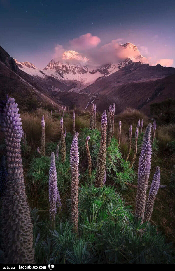 Ande Peruviane International Landscape Photographer Of The Year