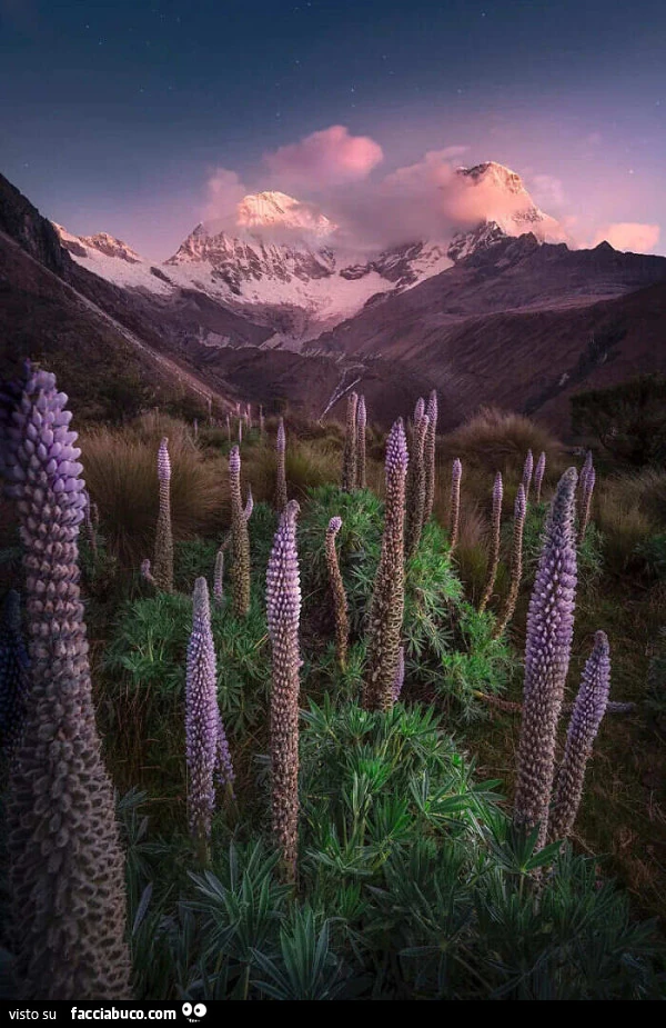 Ande Peruviane International Landscape Photographer Of The Year