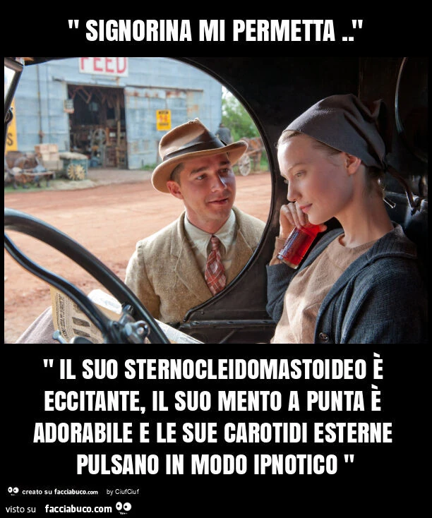 " signorina mi permetta. " " Il suo sternocleidomastoideo è eccitante, il suo mento a punta è adorabile e le sue carotidi esterne pulsano in modo ipnotico "