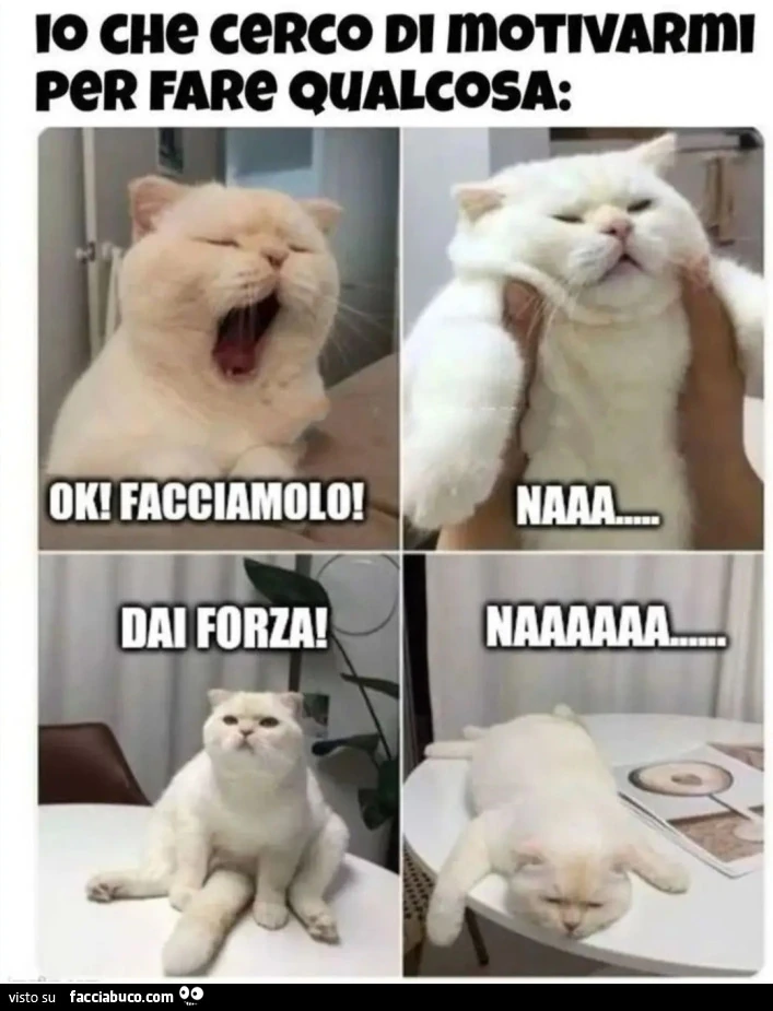 Io che cerco fi motivarmi per fare qualcosa ok facciamolo naaaa dai forza naaaa