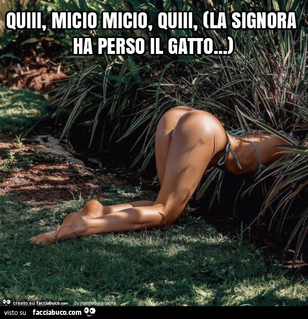 Quiii, micio micio, quiii, (la signora ha perso il gatto… )